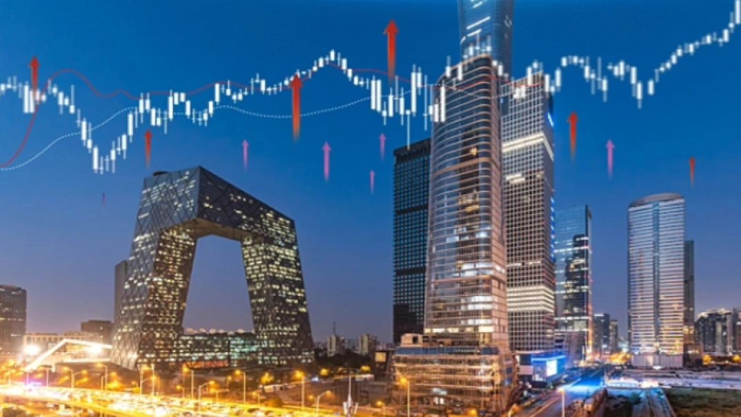 中审华会计师事务所对该公司出具了“无法表示意见”的审计报告