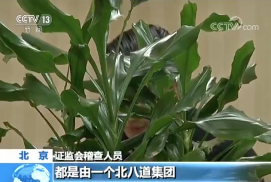 配资公司是什么_配资公司怎么运作_线上配资公司