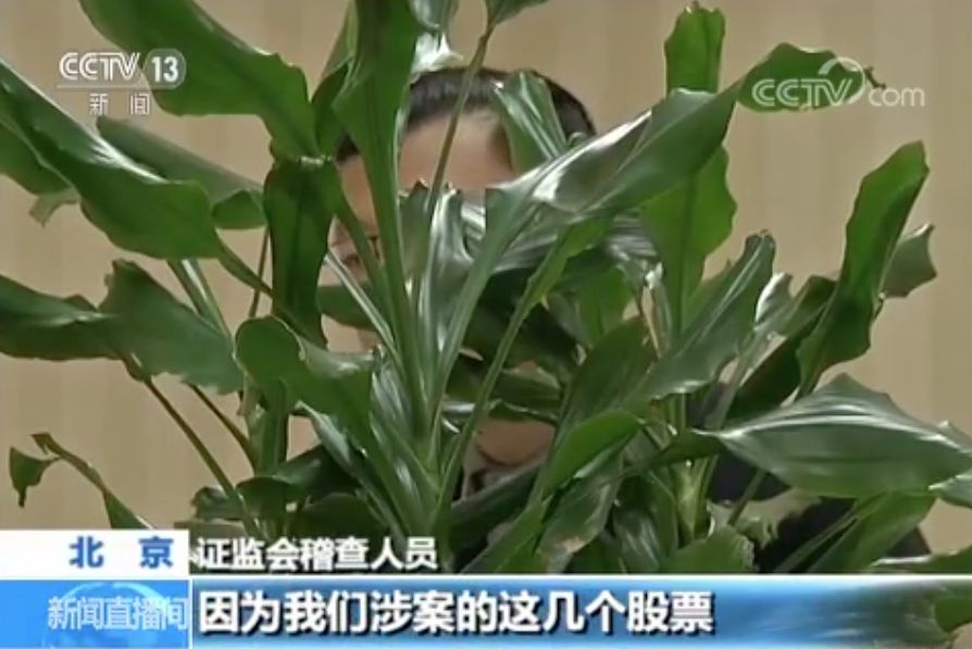 配资公司怎么运作_配资公司是什么_线上配资公司