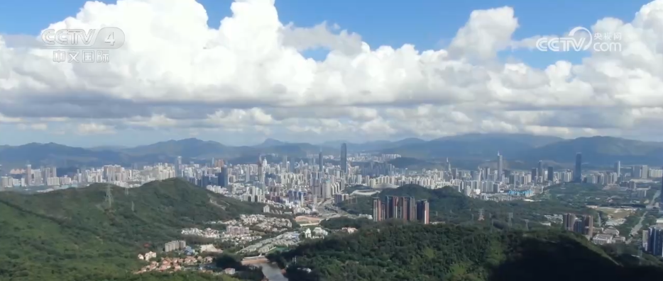 H股指数基金资金流入_A股指数基金资金流入_融资买入的股票怎么卖出