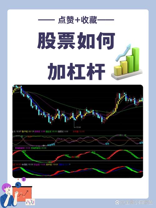 炒股加杠杆操作技巧_股票怎么上杠杆_高杠杆炒股风险控制