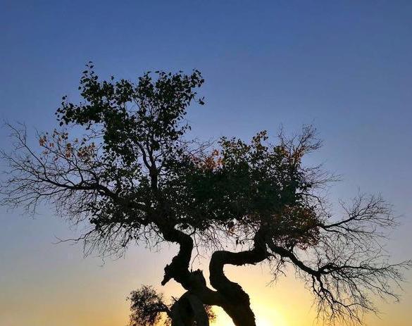 炒股人性弱点分析_5000元炒股一年赚多少_行为金融学在股市中的应用