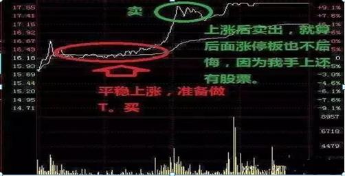 5000元炒股一年赚多少__ 炒股休息策略 
