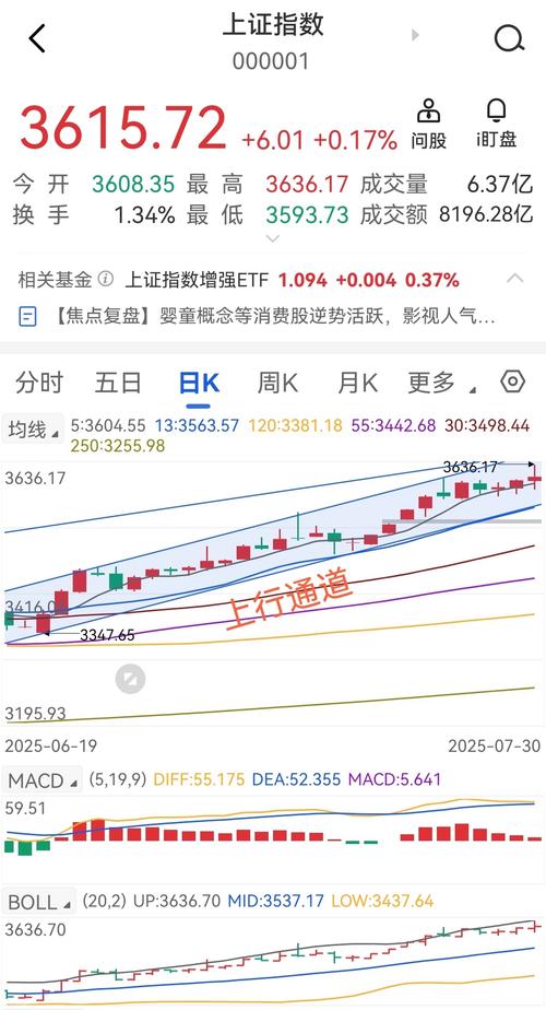 申银策略_A股市场多空博弈_高股息红利投资策略