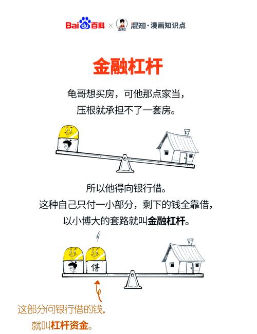 股票杠杆风险_股票杠杆原理_股票杠杆资金