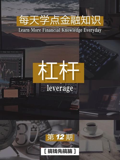 金融杠杆作用原理_炒股怎么加杠杆购买_股票配资风险