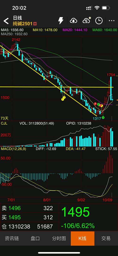 股市暴跌原因探究：虚高、杠杆、违法交易，还有哪些深层因素？