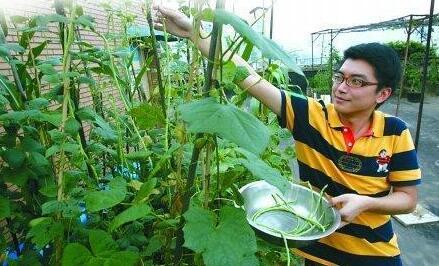 武汉‘种菜哥’炒股20年赚4套房，淡看涨跌坚守菜园与驴行