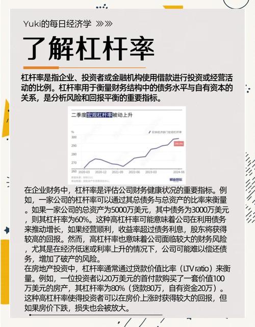 炒股杠杆_散户股票杠杆操作_股票杠杆风险控制