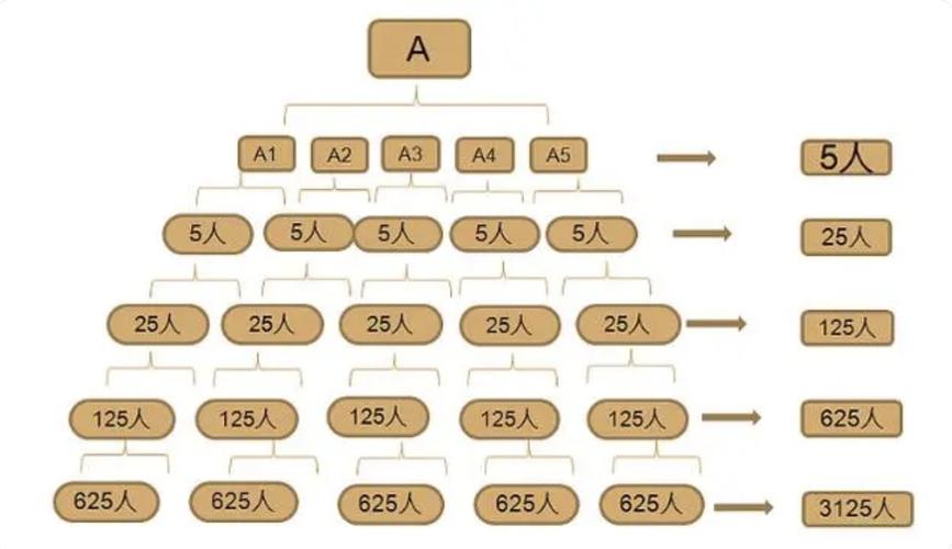 五五复制模式 用户裂变工具 社交分享增长_五五策略