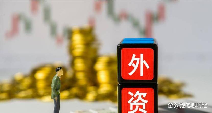 科技股泡沫之争升级！外资转向加仓中国，这三大赛道已聚焦