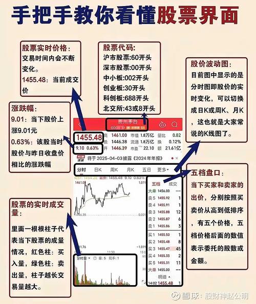 炒股配资开户_股票基础知识学习_新手炒股入门知识