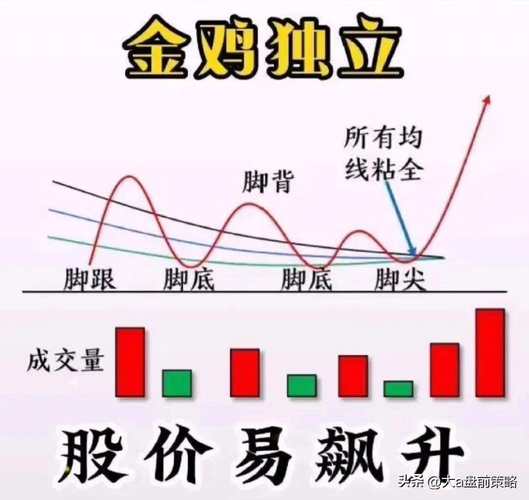 猪年A股逼空行情下股票配资现新花样，10倍杠杆成标配