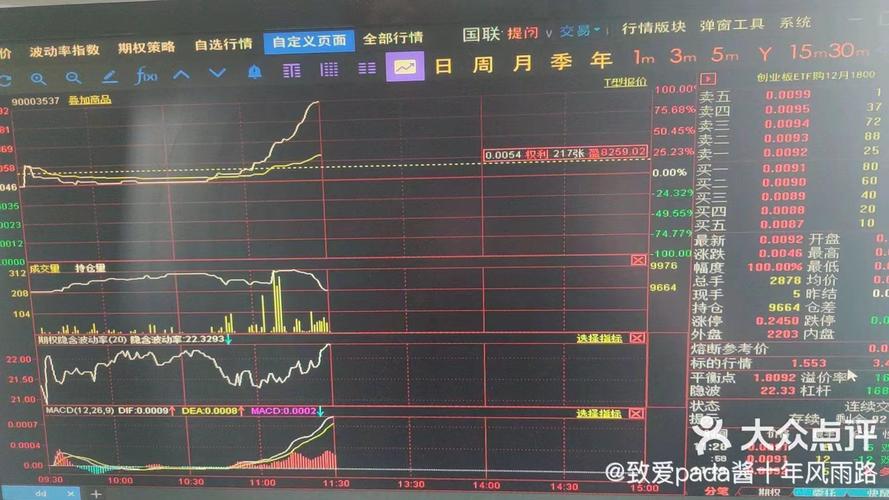 股票加杠杆操作_股票怎么做杠杆_融资融券杠杆炒股